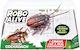 Zuru Robo Alive Cockroach Bulk Ηλεκτρονικό Ρομποτικό Παιχνίδι για 3+ ετών