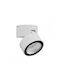 Redo Group Spot de exterior montat pe perete LED IP65 12W