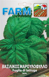 Primasem Semințe Busuioc Frunză de salată verde