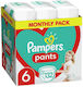 Pampers Diaper Pants Pants No. 6 for 15+ kgkg 132pcs