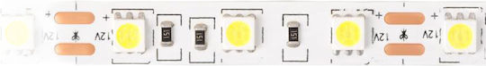 Bandă LED 300 14.4w/m 6500k 800lm/m 12v IP20 5m