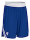 Αθλητική Ανδρική Βερμούδα Royal Blue/white