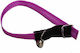 Pet Camelot Cat Collar Purple