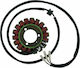 Ricks Motorsport Electric Volan Motorrad 21-303