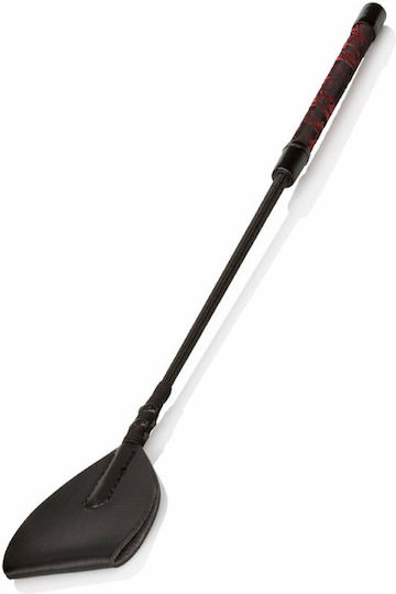 Calexotics Wide Tip Paddle σε Μαύρο Χρώμα