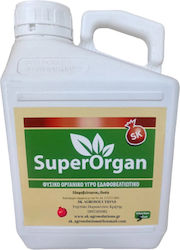 Fertilizer Chlorine 1lt Fertilizer Chlorine 1lt