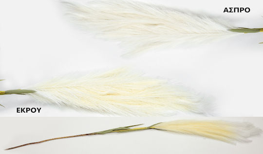 Τεχνητό Διακοσμητικό Κλαδί Pampas grass Εκρού 120cm Faitakis Pack