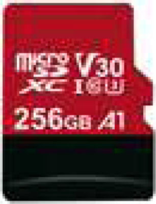 Hikvision microSDXC 256GB Class 10 U3 V30 A1 with Adapter