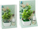 Plant Pot Essential Oil Rose 10ml Fz03