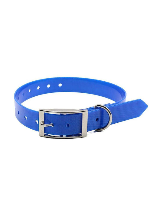 Dog Collar in Blue color