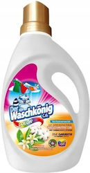 Der Waschkonig 3lt (100 Cupe de măsurare)