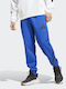 Z.N.E. Fotbalistic Pantaloni de trening cu Elastic Albastru