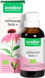 Purasana Echinacea Forte 50ml