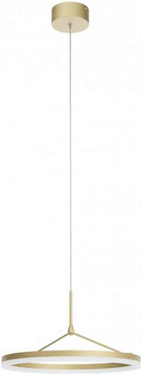 Redo Group Orbit Pendant Light Gold