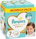 Pampers Tape Diapers Premium Care Monthly Pack ...