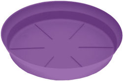 Micplast 114956 Teller Topf Purple 20x20cm