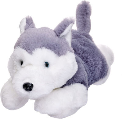 Maskottchen Husky Hund 35 cm