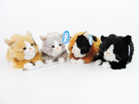 *ast Plush Cat 23 Cm 4 Col