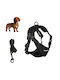Hundegeschirr Schwarz 19343_M