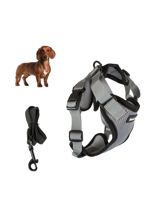 Hundegeschirr Gray 19343_M
