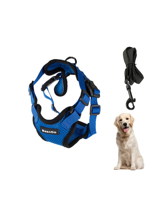 Hundegeschirr Blau 19343_XL