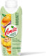 Amita Χυμός Free 330ml 5201005083134