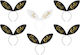 Bride Headbands Black Ears 6 Pcs