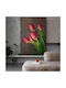 Oil Painting Tulips Canvas Size 80x50cm