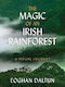The Magic Of An Irish Rainforest A Visual Journey Eoghan Daltun Ireland 0114