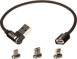Bushman Panoramic Verschiedene Kabel 0.2m Bushman Panoramic Verschiedene Kabel 0.2m