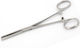 Gima Medical & Surgical Straight Forcep