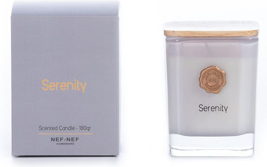 Nef-Nef Homeware Αρωματικό σε Βάζο Serenity