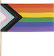 Pride Flag 5 Pcs