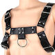 Naughty Toys Ανδρικό Harness Μαύρο