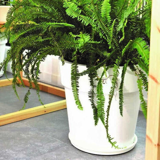 Homestyle Pot Plastic 13x13cm.