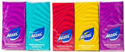 Maxi Pocket Tissues 3-ply 24x10 packs