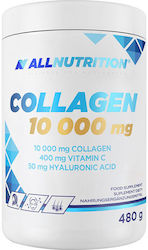AllNutrition Collagen 10000mg 480gr