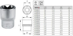 Torx Cap 1/2" E24