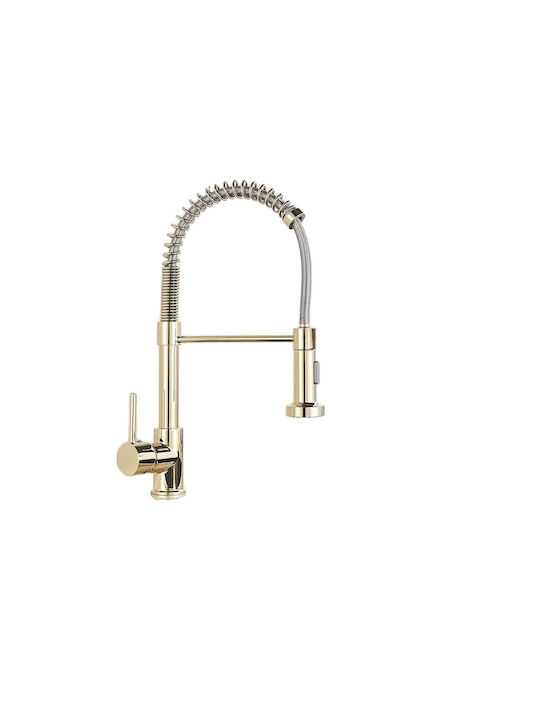 Kitchen Faucet Counter Battery with External Spray Hose Gold