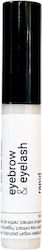Herbana Lash Serum 15ml Herbana Lash Serum 15ml