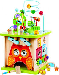 Hape Adventure pentru 12++ Luni Hape Adventure pentru 12++ Luni