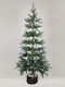 Christmas Tree Denmark with Wooden Trunk 210cm with 565 Branches