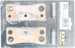 DP Brakes Τακάκια Μοτοσυκλέτας Πίσω