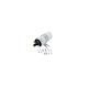 Induction Coil Rover Montego Beru Zs117