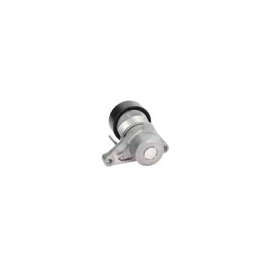 Belt Tensioner Peugeot 207 Sw Wk Dayco Apv2539