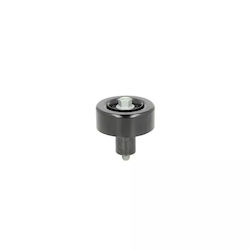 Hyundai Santa Fé Ii Cm Guide Roller Dayco Apv3055