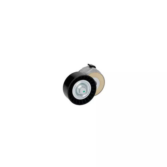 Fiat Ducato Plate Chassis Belt Tensioner 250 290 Dayco Apv1075