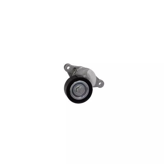 Belt Tensioner Citroen C4 Ii B7 Dayco Apv3190