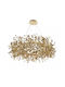 Полилей Fiery Gold Elbulgaria 16xe14 3091/80 Gd