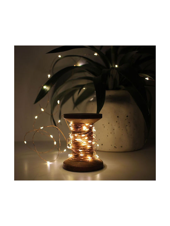 Winkee Decorative Lamp